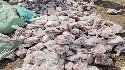 ضبط 2 طن لحوم فاسدة في حملات تفتيشية بالدقهلية