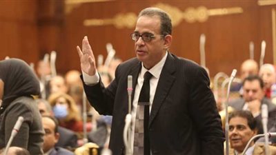 محلل سياسي: التجربة المصرية في التنمية المستدامة رائدة وحققت نموًا كبيرًا