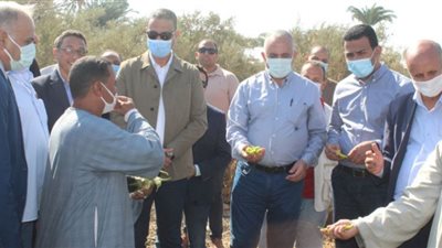 وزير الري: تأهيل 3100 كيلو متر من الترع حتى الآن على مستوى الجمهورية