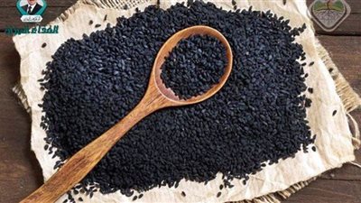 فوائد مهمة يجب معرفتها عن الحبة السوداء