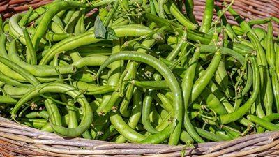 7 أسباب تدفعك إلى تضمين الفاصوليا في نظامك الغذائي