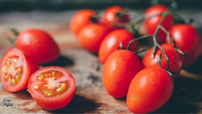 الطماطم أفضل وسيلة لتعزيز المناعة
