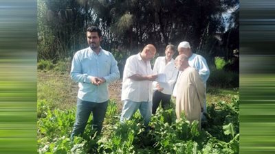 زراعه 33ألف فدان بمحصول بنجر السكر بالبحيره