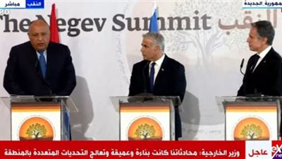 (فيديو) سامح شكري: محادثتنا في قمة النقب تعالج التحديات المتعلقة بالمنطقة