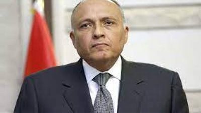 وزير الخارجية: موقف مصر ثابت بشأن دعم حل الدولتين بين فلسطين واسرائيل (فيديو)