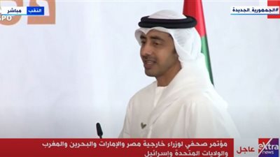 (فيديو) وزير خارجية الإمارات: قمة النقب لحظة تاريخية ونسعى لتحقيق مستقبل باهر لأولادنا