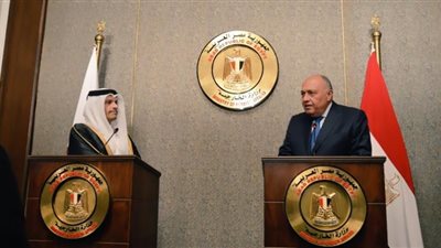 لجنة مشتركة بين مصر وقطر لبحث كل موضوعات التعاون والعلاقات الثنائية