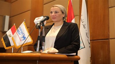 ياسمين فؤاد: الدول العربية تواجه صعوبات تتعلق بقلة التمويل وضعف الأدوات المتاحة للتنفيذ