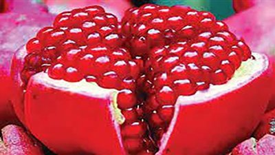 الزراعة: فتح الأسواق الصينية أمام صادرات الرمان شهادة جودة للمنتج المصري (فيديو)