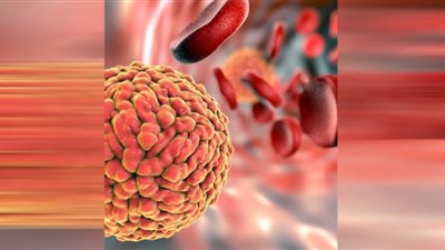 فيروس زيكا Zika virus.. أعراض الإصابة به وطرق انتقاله بين البشر