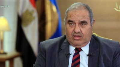 رئيس الدستورية: السيسي يدعم القضاء بكل الصور.. ولا يتدخل في شئونه (فيديو)