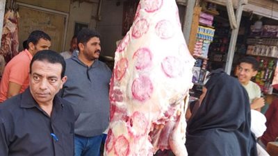 تحرير 60 محضراً والتحفظ على لحوم مذبوحة خارج المجازر فى بنى سويف