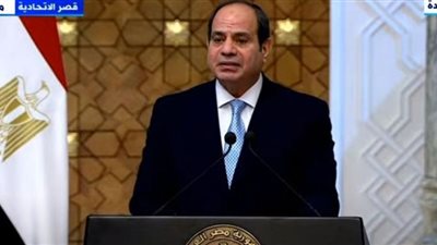 فيديو.. السيسي: مصر وتنزانيا تجمعهما علاقات أخوية ونسعى لتطويرها