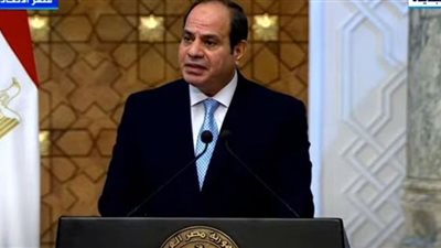 فيديو.. السيسي: ندعم خطط تنزانيا التنموية.. ومستعدون لنقل خبراتنا لهم