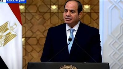 فيديو.. السيسي: بحثنا زيادة الاستثمارات المصرية في تنزانيا