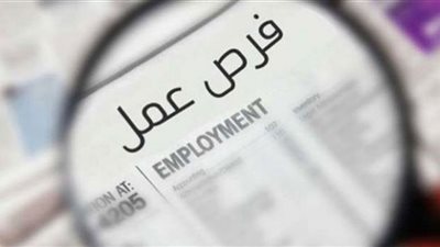 بمرتبات تصل لـ 8 آلاف جنيه.. شروط التقدم لوظائف الشباب والرياضة