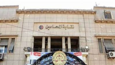 بعد تسريب صورة الكارنية.. نقابة المحامين توقف العمل به فورًا