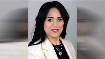 تحرك برلماني بشأن مشكلات انتشار أبراج شبكات شركات المحمول بأنحاء التجمع الأول بالقاهرة