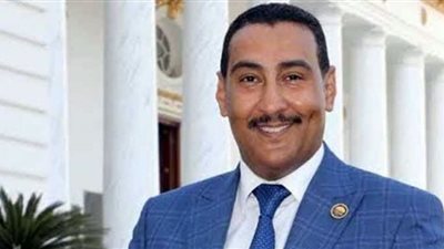 برلماني: مصر تدير ملف التغيرات المناخية بكل حكمة وثقة من أجل إنقاذ العالم