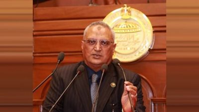 برلماني ينتقد شائعات نقص السلع: لدينا قيادة حكيمة تعشق تراب مصر والمصريين