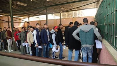 تحذيرات.. عقوبات وغرامات أقرتها الدول الفترة الماضية على العمالة الوافدة إليها