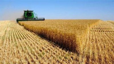 قطاع الخدمات بالوزارة: نعمل وفق خطة لزراعة 3.5 مليون فدان من القمح خلال هذا الموسم (فيديو)