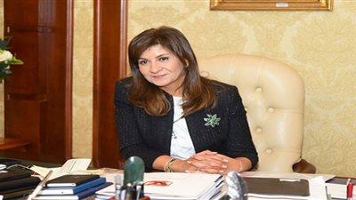 خط ساخن ورابط إلكتروني.. للرد على استفسارات المشاكل الأسرية للمصريين بالخارج