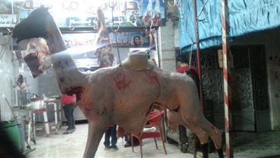 ذبح الجمال وشوادر المخللات أبرز عادات رمضان في البحيرة