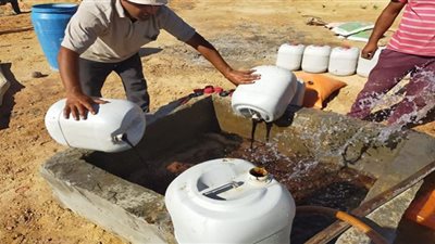 الأسمدة الزراعية تحرق محاصيل الغربية .. بلهيب أسعار السوق السوداء