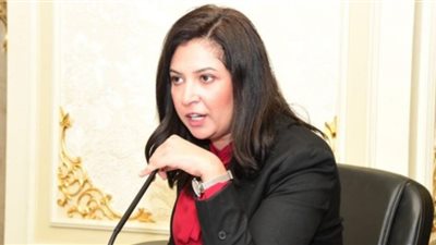 تصل بالحبس لـ 5 سنوات.. النائبة أميرة العادلي تتقدم بقانون لـ