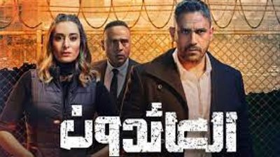 فيديو.. مخرج 