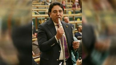 النائب أيمن محسب مهاجمهًا إحدى المسرحيات : فن إباحي لا يتماشى مع ثقافة المجتمع المصري