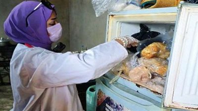 ضبط لحوم وأسماك منتهية الصلاحية في حملة تفتيشية بالشرقية