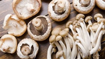 دراسة: تناول المشروم مفيد للأمعاء