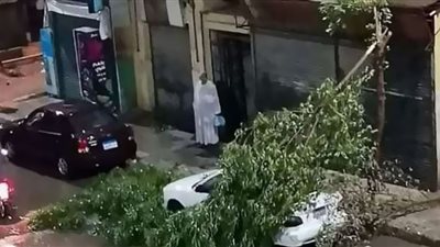 تفاصيل .. توقف الدراسة غدًا بأسوان