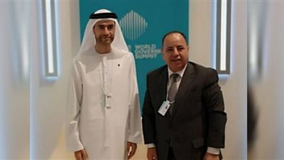 اتفاق مصري إماراتي على التكامل العربى فى مواجهة التحديات الاقتصادية العالمية