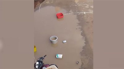 عاجل.. إصابة 503 مواطنين بلدغات العقارب في أسوان