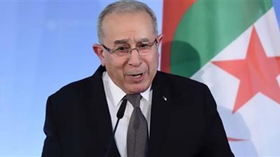 الجزائر تدعو إلى تضافر جهود المجتمع الدولي لتمكين ليبيا من تخطي الصعوبات الراهنة