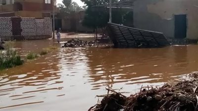 امطار اسوان| ساعات من الرعب عاشها الأهالي (التفاصيل)