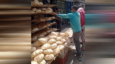 رفع 210 حالة إشغال طريق في الواسطي ببني سويف