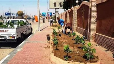 محافظ سوهاج : زراعة 10 آلاف و630 شجرة بمراكز ومدن المحافظة
