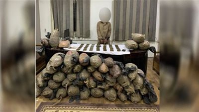 ضبط 138 كيلو بانجو وحشيش بحوزة عنصر إجرامي بالجيزة