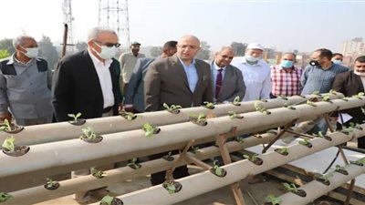 محافظ بني سويف يتفقد نموذج زراعة الهيدروبونيك الموفرة فى مبادرة 