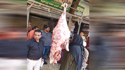 تحرير105 مخالفة تموينبة ببني سويف