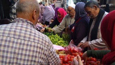 استقرار نسبى أسعار الخضراوات والفاكهة بأسواق الدقهلية