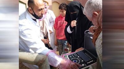 المسح التناسلي لـ 5 آلاف رأس ماشية وتلقيح اصطناعي لـ 1324 بالشرقية