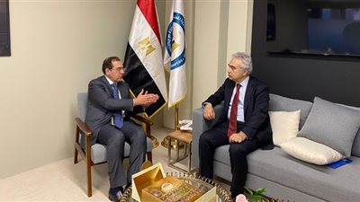 الملا يبحث مع مدير وكالة الطاقة الدولية سبل إنجاح قمة المناخ المصرية