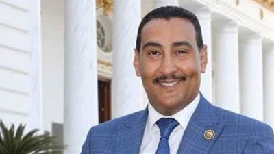 وكيل طاقة النواب مشيدًا بـ «الاختيار 3»: توثيق لفترة زمنية هامة من عمر الوطن