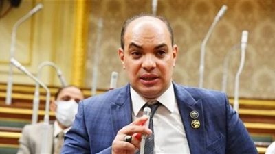 برلماني : مصر حققت نجاحات ضخمة في مجال الكهرباء والطاقة المتجددة برؤية مستقبلية واعدة