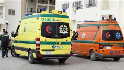 ضربوه بـ الكوريك.. مقتل شاب على يد جيرانه ببلبيس